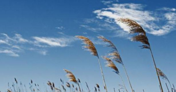 தென்றல்