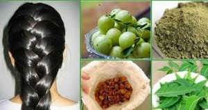 கூந்தல் பிரச்சனைக்கு தீர்வு தரும் இயற்கை பொடி