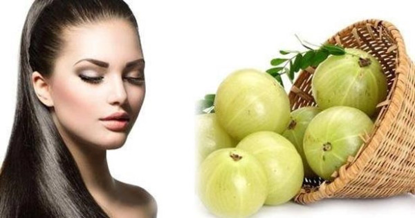 முடி கொட்டுவதை தடுக்கும் நெல்லிக்காய் தைலம்