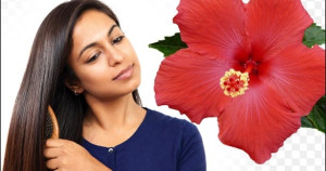 கூந்தல் பிரச்சனைக்கு தீர்வு தரும் செம்பருத்தி