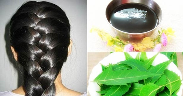 கூந்தல் பிரச்சனைகளுக்கு வேப்பிலையை பயன்படுத்துவது எப்படி?