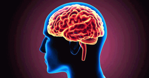 மூளைத்திறனை மேம்படுத்தும் பயிற்சிகள்