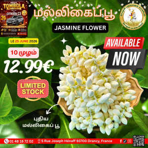 Promo