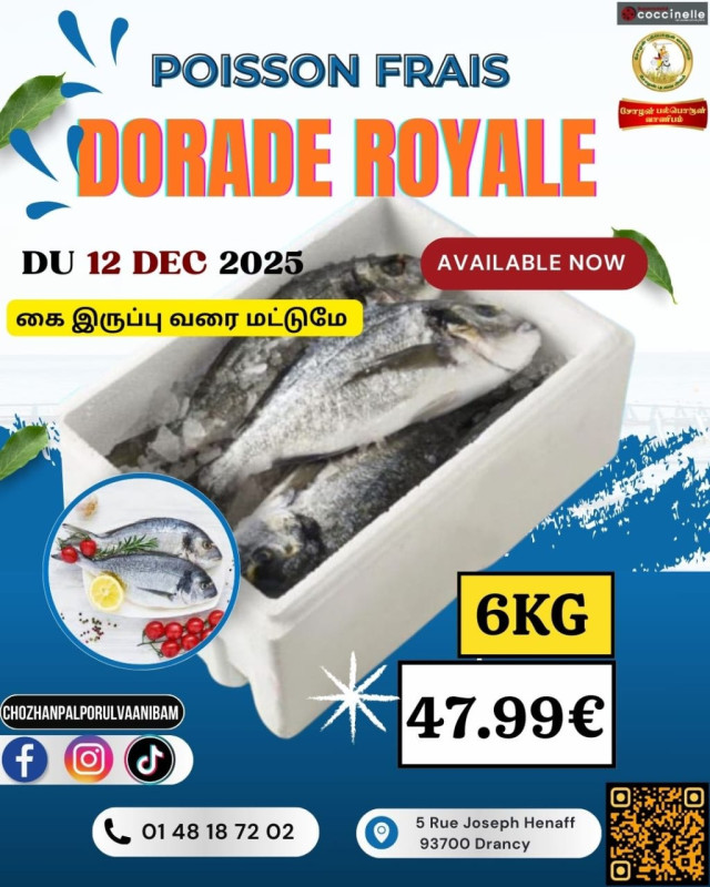 6 Kg DORADE ROYALE (கை இருப்பு வரை மட்டுமே)