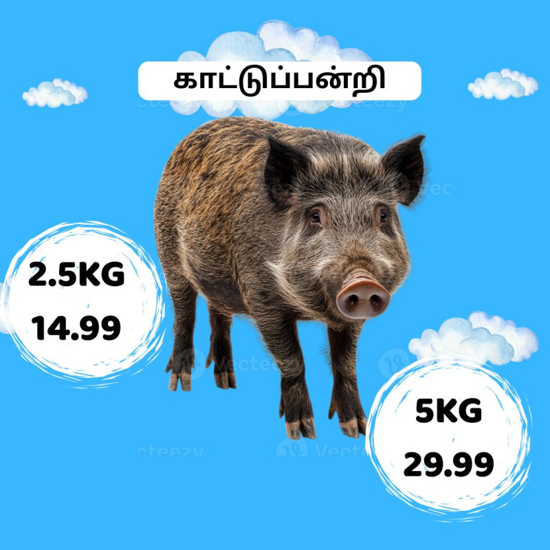 காட்டுப்பன்றி இறைச்சி விற்பனையில்