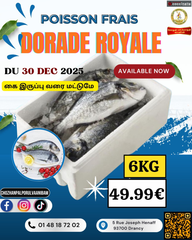 6Kg-மீன் (Dorade Royale)