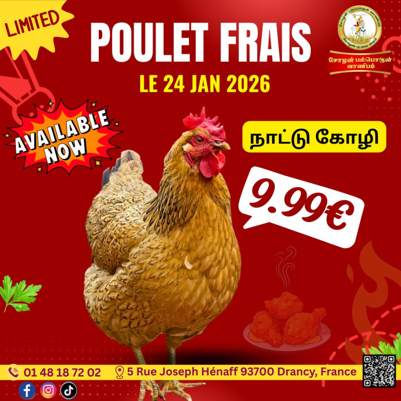 நாட்டுக்கோழி 