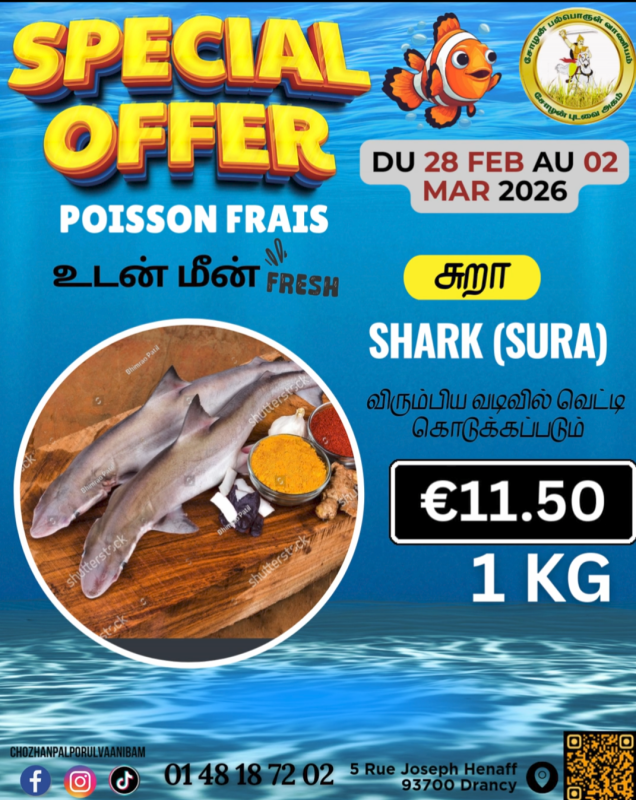 சுறா மீன்