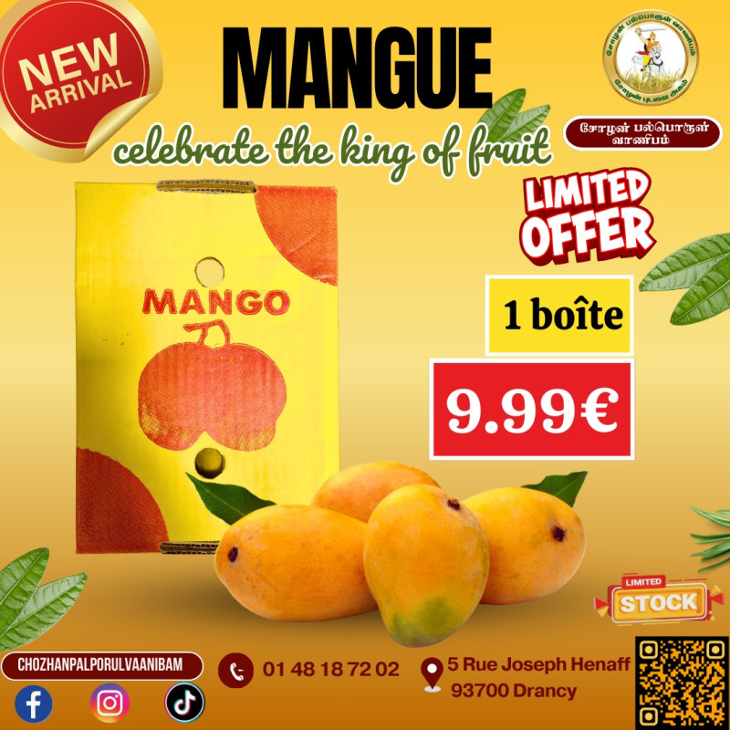 Mangue