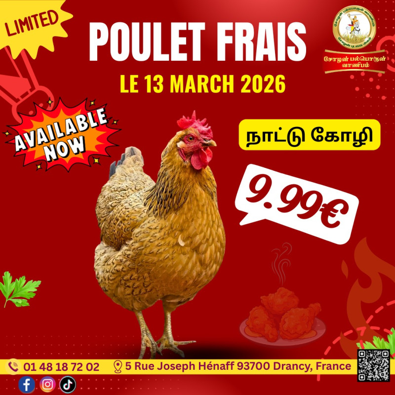 நாட்டுக்கோழி 