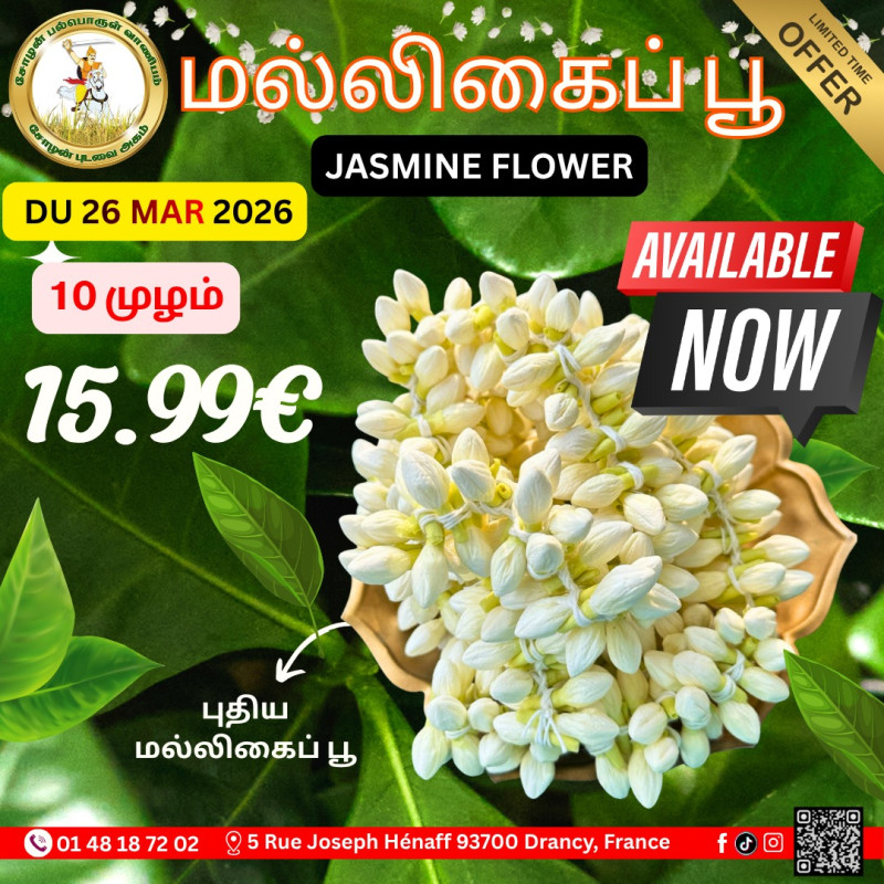 மல்லிகைப்பூ 