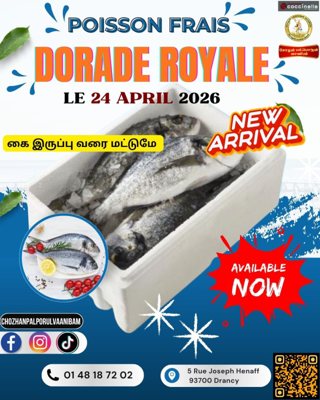 Dorande Royale 