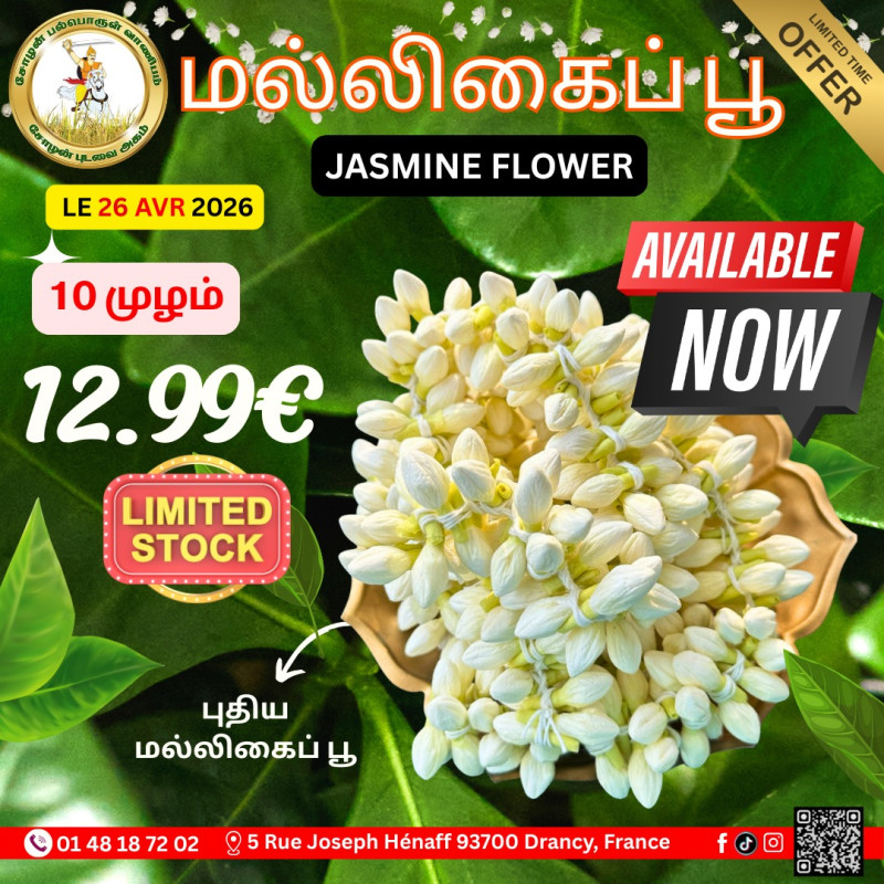 புதிய மல்லிகைப்பூ
