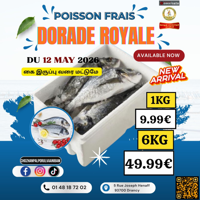 Dorande Royale (மீன்)