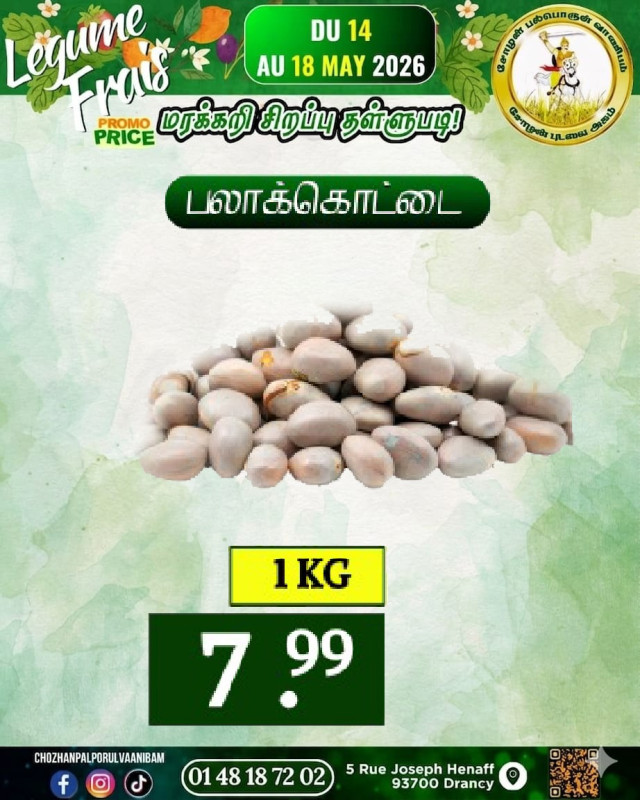பலாக்கொட்டை
