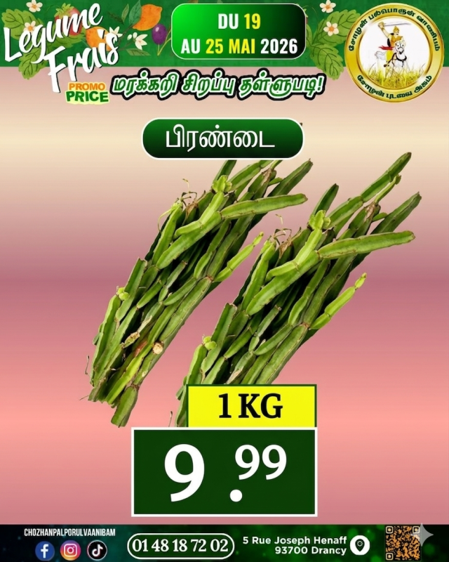 பிரண்டை