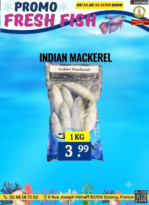Indian Mackerel