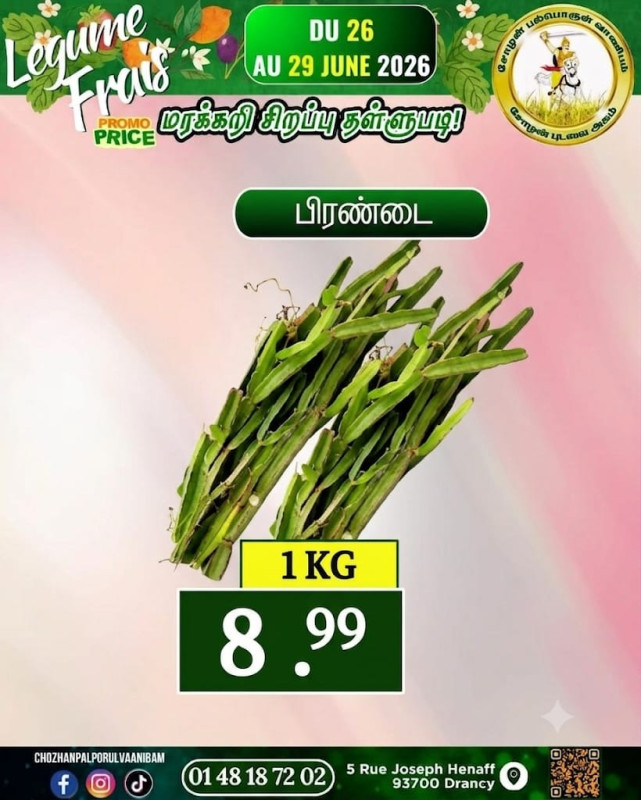 பிரண்டை
