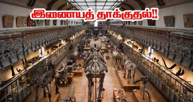 பெரிய அளவிலான இணையத் தாக்குதலுக்கு இலக்கான அருங்காட்சியகம்!