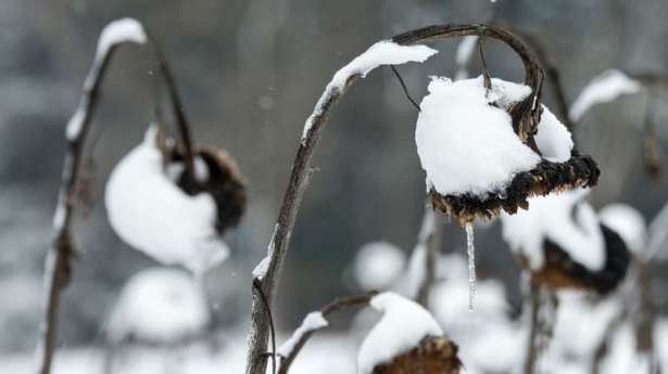 வருகிறது பனிப்பொழிவு!!