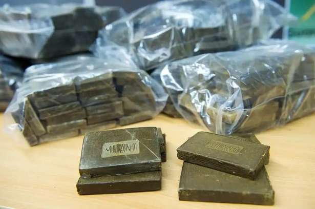 Rosny-sous-Bois : வீடொன்றில் பதுக்கிவைக்கப்பட்டிருந்த 626 கிலோ கஞ்சா!!
