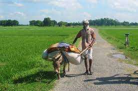 உப்பு வியாபாரியும் கழுதையின் தந்திரமும்