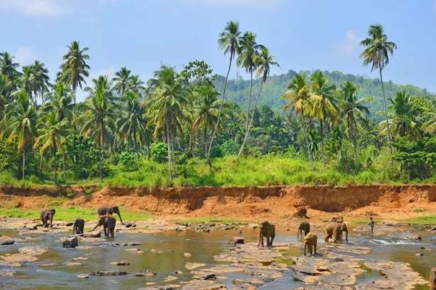 உலகிலுள்ள அழகிய 50 தீவுகளில் முதலிடம் பெற்ற இலங்கை